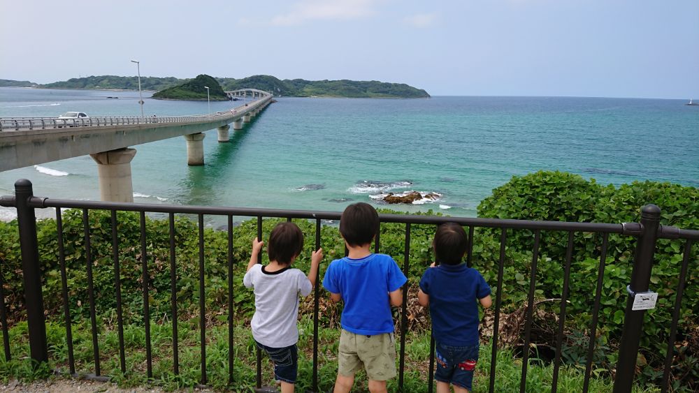 お客様の声の画像